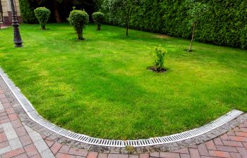 Backyard Drainage Solutions That Prevent Standing Water After Rain
